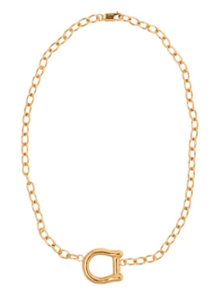 Released From Love Horseshoe Choker In Gold
